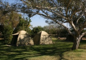 Adventurous safari tents